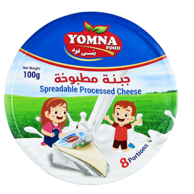 Spreadable-Processed-Cheese100